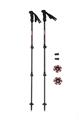 ROCK EXPERIENCE Carbon Pole Evo Bastoncini Trekking