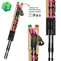 FIZAN Speed Bastoncini Nordic Walking Fuxsia